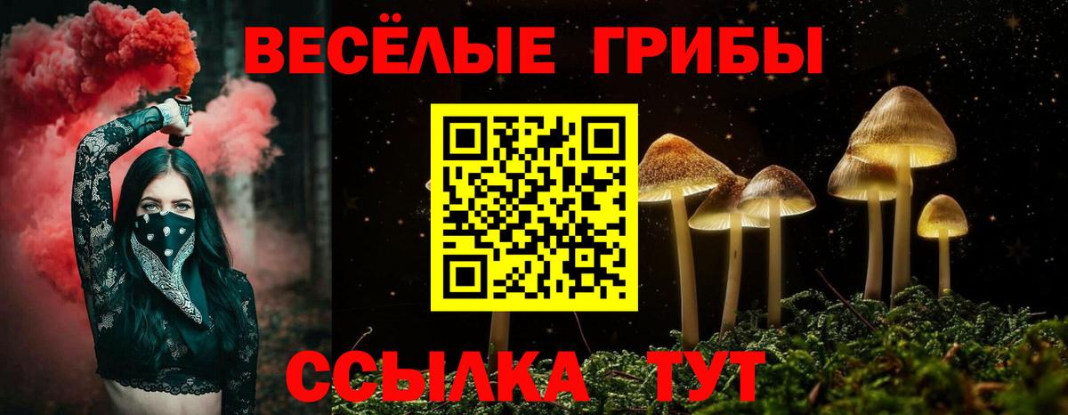 Галлюциногенные грибы Cubensis  дарнет шоп  Кисловодск  Вход с VPN 