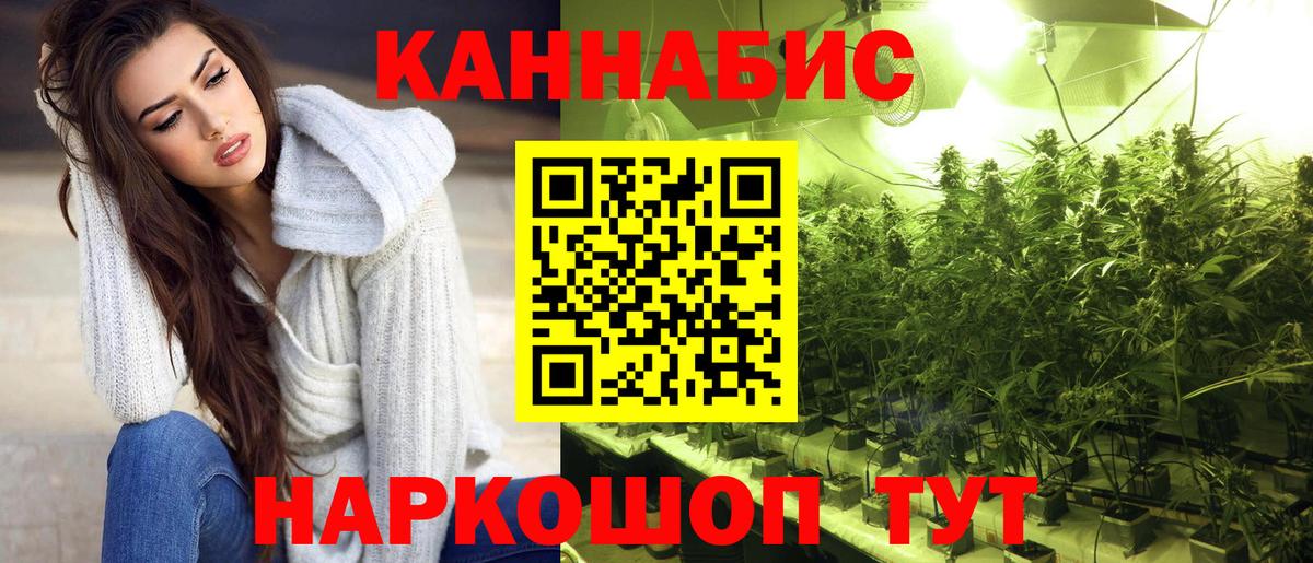 Бошки Шишки план  Канабис марихуана  Кисловодск  Каннабис сатива  Вход с VPN 